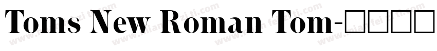 Toms New Roman Tom字体转换